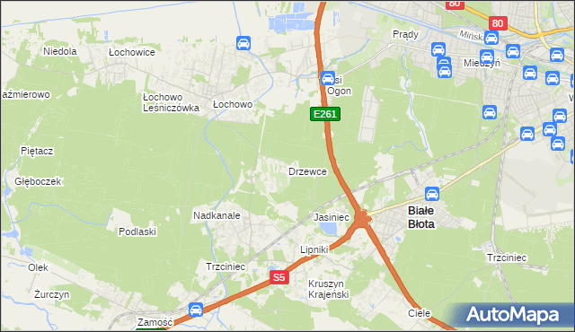 mapa Drzewce gmina Białe Błota, Drzewce gmina Białe Błota na mapie Targeo