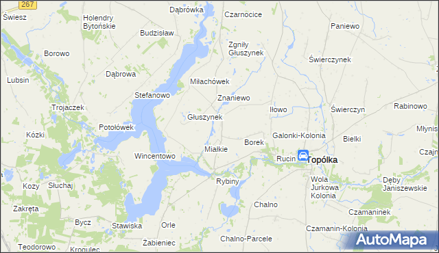 mapa Opielanka, Opielanka na mapie Targeo