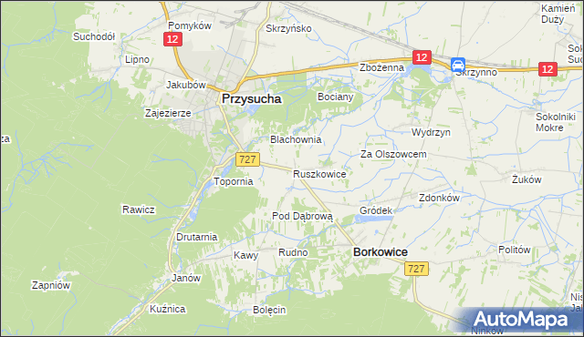 mapa Ruszkowice gmina Borkowice, Ruszkowice gmina Borkowice na mapie Targeo