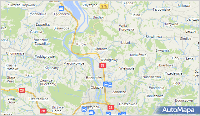 mapa Wielogłowy gmina Chełmiec, Wielogłowy gmina Chełmiec na mapie Targeo