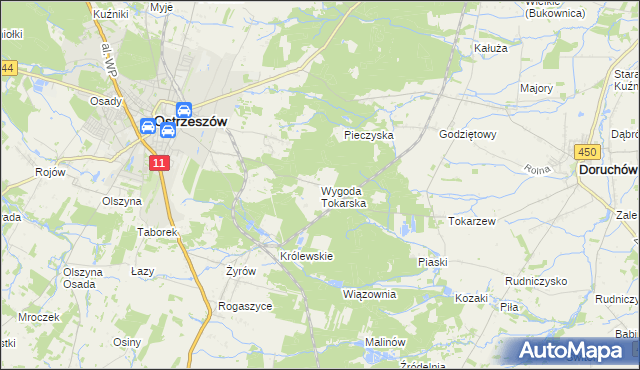 mapa Wygoda Tokarska, Wygoda Tokarska na mapie Targeo