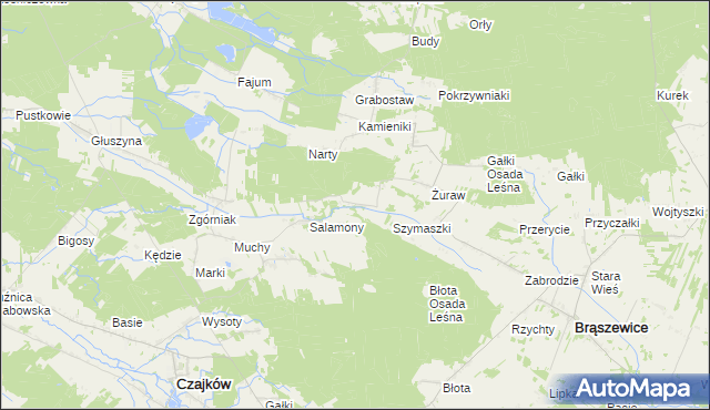 mapa Salamony gmina Brąszewice, Salamony gmina Brąszewice na mapie Targeo