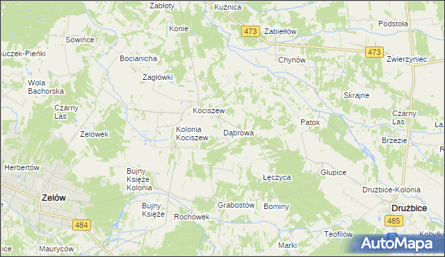 mapa Dąbrowa gmina Zelów, Dąbrowa gmina Zelów na mapie Targeo