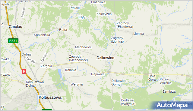 mapa Dzikowiec powiat kolbuszowski, Dzikowiec powiat kolbuszowski na mapie Targeo