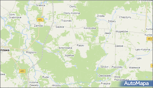 mapa Patoki gmina Widawa, Patoki gmina Widawa na mapie Targeo