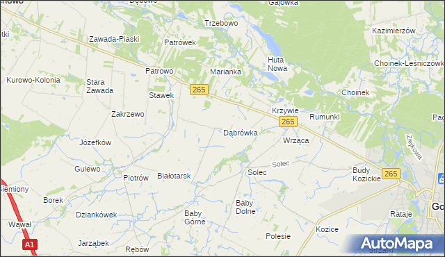mapa Dąbrówka gmina Gostynin, Dąbrówka gmina Gostynin na mapie Targeo