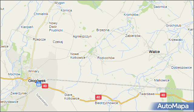 mapa Rozkochów gmina Walce, Rozkochów gmina Walce na mapie Targeo