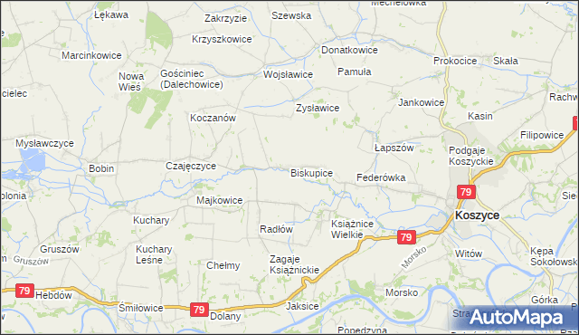 mapa Biskupice gmina Koszyce, Biskupice gmina Koszyce na mapie Targeo