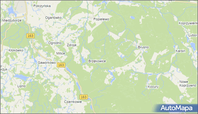 mapa Popielewice, Popielewice na mapie Targeo