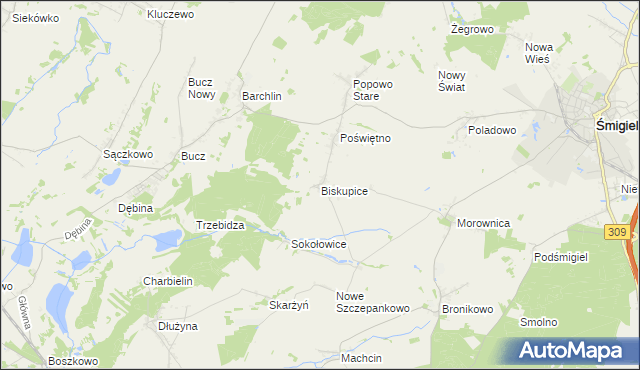 mapa Biskupice gmina Przemęt, Biskupice gmina Przemęt na mapie Targeo