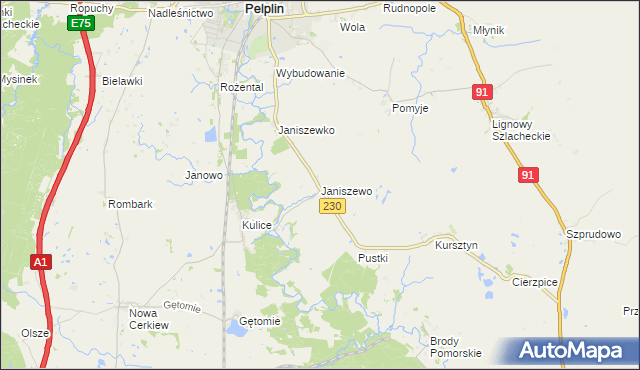 mapa Janiszewo gmina Pelplin, Janiszewo gmina Pelplin na mapie Targeo