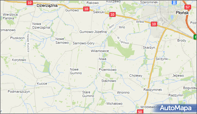 mapa Niwa gmina Dzierzążnia, Niwa gmina Dzierzążnia na mapie Targeo