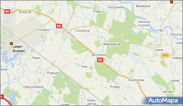 mapa Borkowice gmina Lewin Brzeski, Borkowice gmina Lewin Brzeski na mapie Targeo