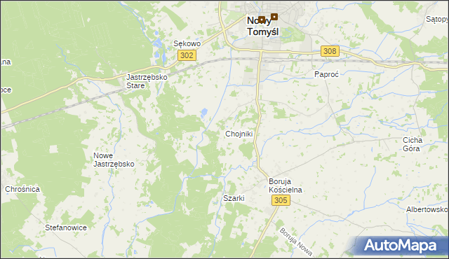 mapa Chojniki gmina Nowy Tomyśl, Chojniki gmina Nowy Tomyśl na mapie Targeo