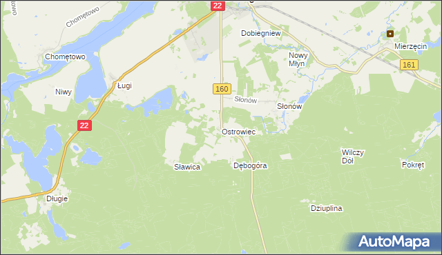 mapa Ostrowiec gmina Dobiegniew, Ostrowiec gmina Dobiegniew na mapie Targeo