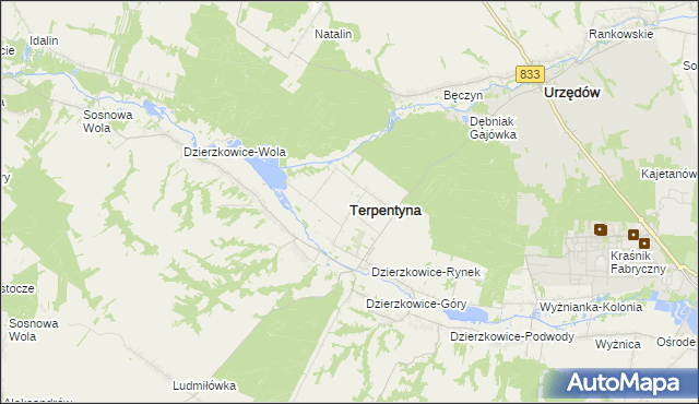 mapa Terpentyna, Terpentyna na mapie Targeo