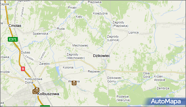 mapa Dzikowiec powiat kolbuszowski, Dzikowiec powiat kolbuszowski na mapie Targeo