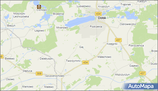 mapa Gaj gmina Gostyń, Gaj gmina Gostyń na mapie Targeo