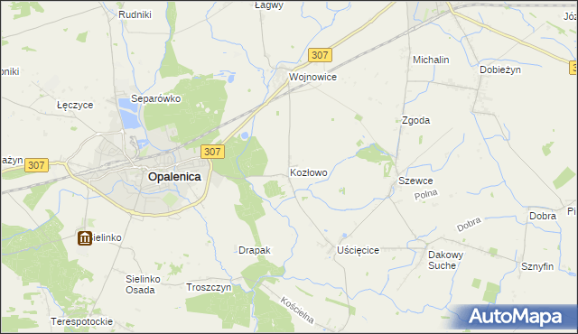 mapa Kozłowo gmina Opalenica, Kozłowo gmina Opalenica na mapie Targeo