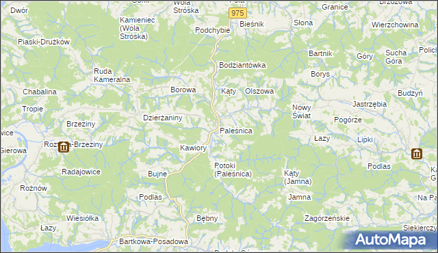 mapa Paleśnica, Paleśnica na mapie Targeo