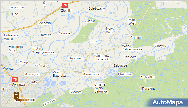 mapa Zabierzów Bocheński, Zabierzów Bocheński na mapie Targeo