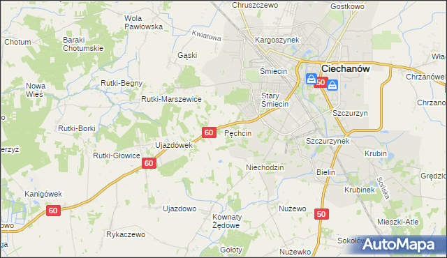 mapa Pęchcin, Pęchcin na mapie Targeo