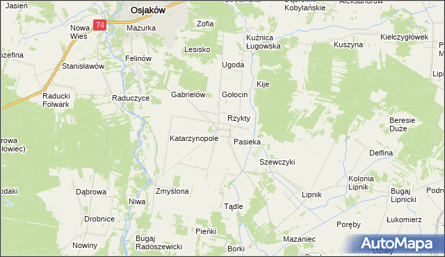 mapa Radoszewice gmina Siemkowice, Radoszewice gmina Siemkowice na mapie Targeo