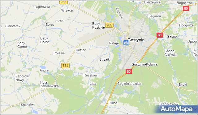 mapa Strzałki gmina Gostynin, Strzałki gmina Gostynin na mapie Targeo