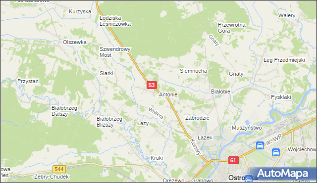 mapa Antonie gmina Olszewo-Borki, Antonie gmina Olszewo-Borki na mapie Targeo