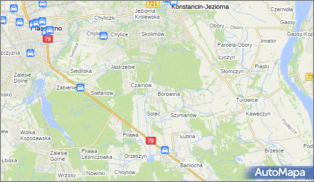 mapa Borowina gmina Konstancin-Jeziorna, Borowina gmina Konstancin-Jeziorna na mapie Targeo