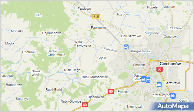 mapa Gąski gmina Ciechanów, Gąski gmina Ciechanów na mapie Targeo