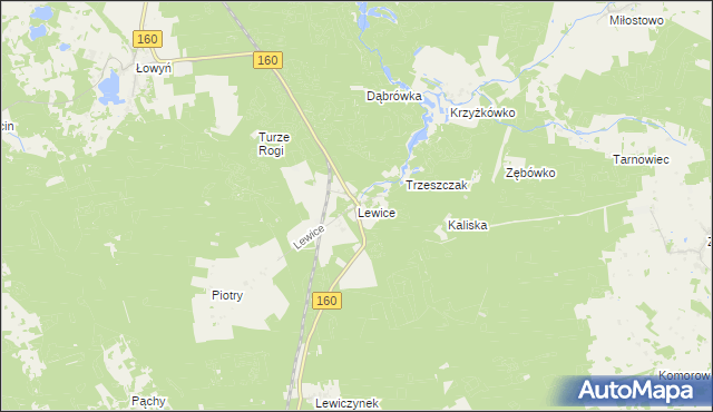 mapa Lewice gmina Międzychód, Lewice gmina Międzychód na mapie Targeo