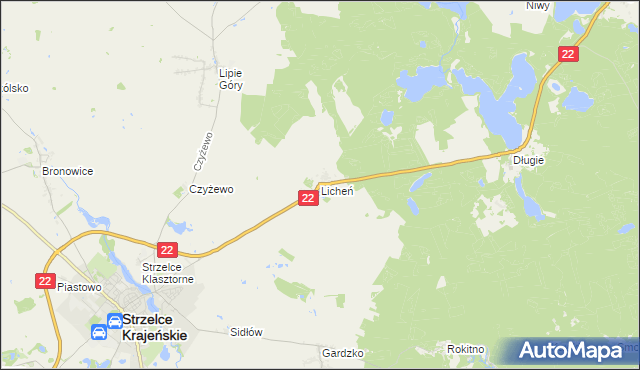 mapa Licheń, Licheń na mapie Targeo