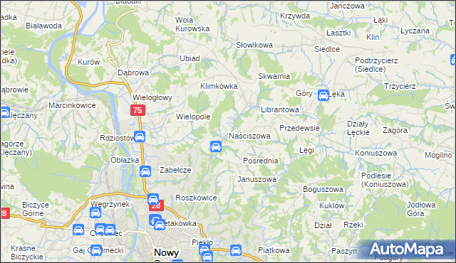 mapa Naściszowa, Naściszowa na mapie Targeo