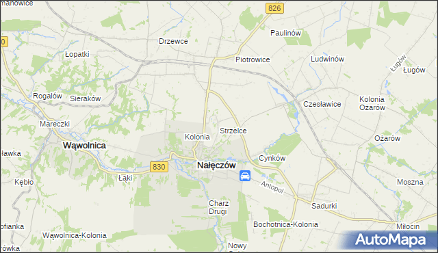 mapa Strzelce gmina Nałęczów, Strzelce gmina Nałęczów na mapie Targeo
