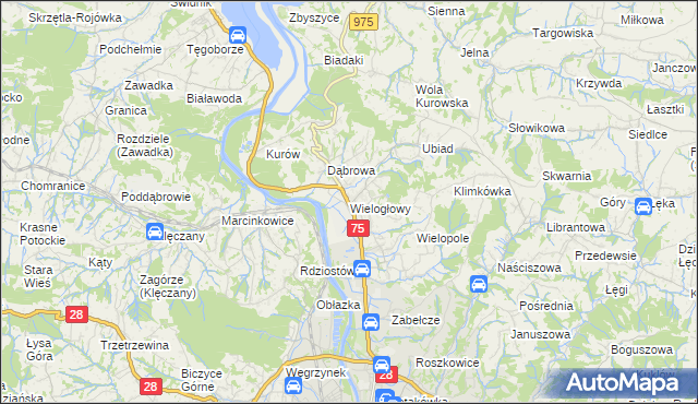 mapa Wielogłowy gmina Chełmiec, Wielogłowy gmina Chełmiec na mapie Targeo