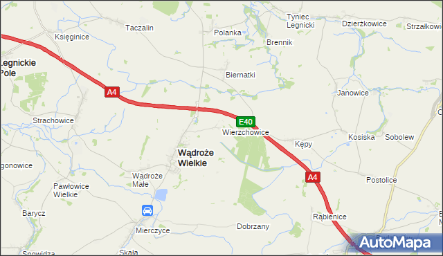 mapa Wierzchowice gmina Wądroże Wielkie, Wierzchowice gmina Wądroże Wielkie na mapie Targeo