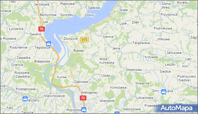 mapa Wola Kurowska, Wola Kurowska na mapie Targeo