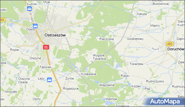 mapa Wygoda Tokarska, Wygoda Tokarska na mapie Targeo