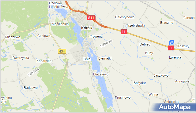 mapa Biernatki gmina Kórnik, Biernatki gmina Kórnik na mapie Targeo