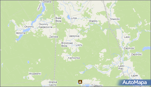 mapa Lisiny gmina Śliwice, Lisiny gmina Śliwice na mapie Targeo