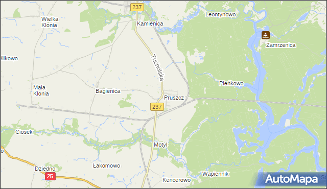 mapa Pruszcz gmina Gostycyn, Pruszcz gmina Gostycyn na mapie Targeo