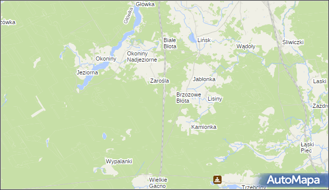 mapa Zarośle gmina Śliwice, Zarośle gmina Śliwice na mapie Targeo