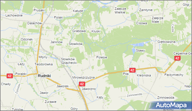 mapa Polesie gmina Rudniki, Polesie gmina Rudniki na mapie Targeo