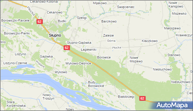 mapa Borowice gmina Bodzanów, Borowice gmina Bodzanów na mapie Targeo