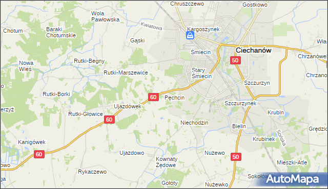 mapa Pęchcin, Pęchcin na mapie Targeo