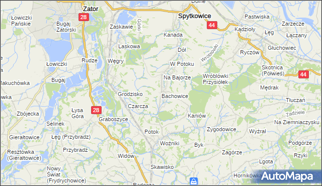 mapa Bachowice, Bachowice na mapie Targeo