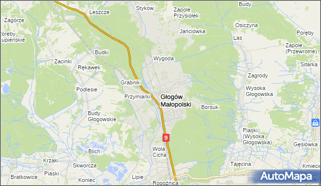 mapa Głogów Małopolski, Głogów Małopolski na mapie Targeo