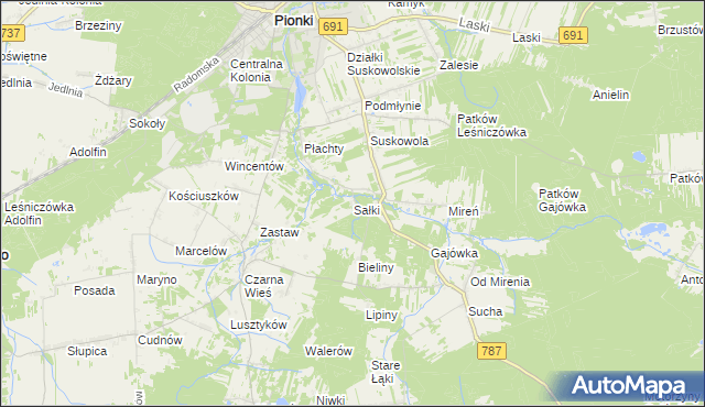 mapa Sałki gmina Pionki, Sałki gmina Pionki na mapie Targeo