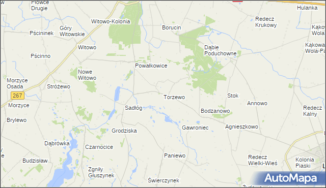 mapa Torzewo, Torzewo na mapie Targeo